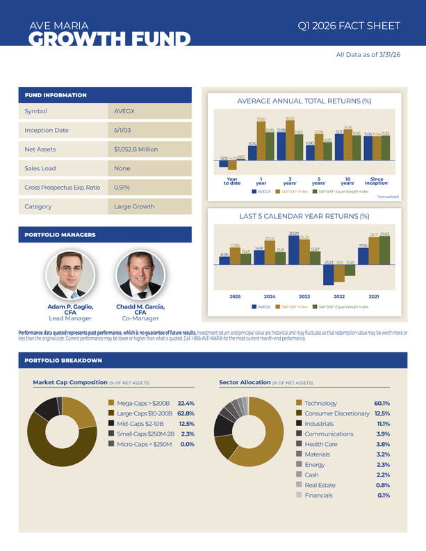 AVEGX Fact Sheet