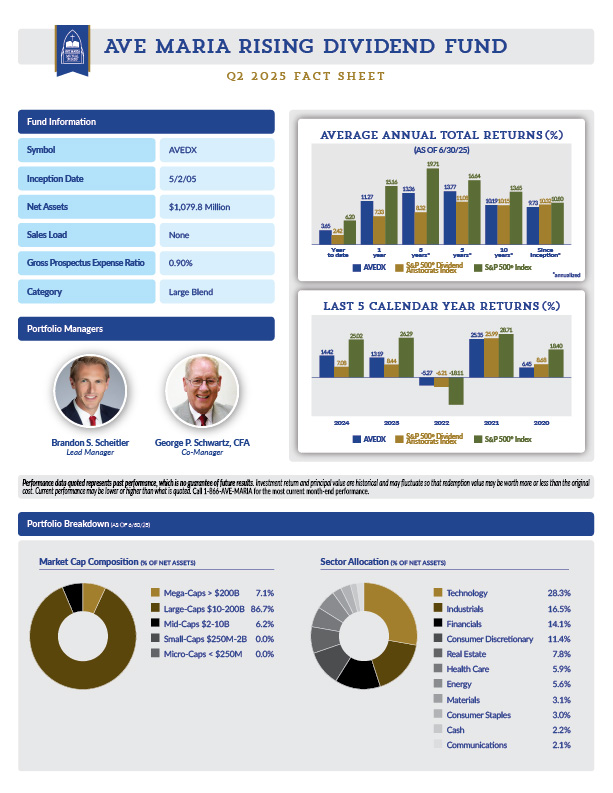AVEDX Fact Sheet