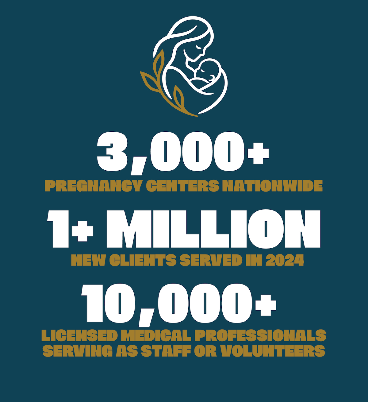 By the Numbers: more than 3,000 pregnancy centers nationwide; more than one million new clients served in 2024; more than 10,000 licensed medical professionals serving as staff or volunteers. Source: Charlotte Lozier Institute national pregnancy center report.
